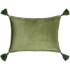 Grass Green Norwin Tassels Cotton Lumbar Throw Pillow